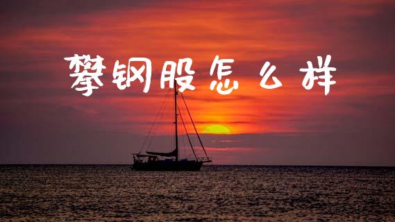 攀钢股怎么样_https://m.15771688.com_美国道指_第1张