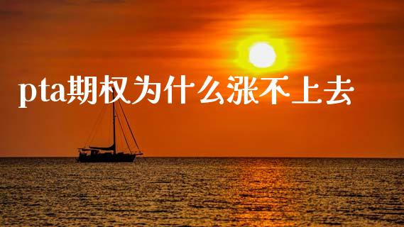 pta期权为什么涨不上去_https://m.15771688.com_期货开户_第1张