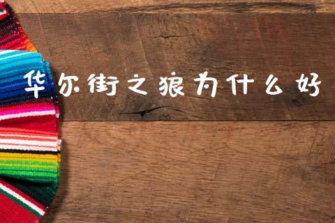 华尔街之狼为什么好_https://m.15771688.com_期货开户_第1张