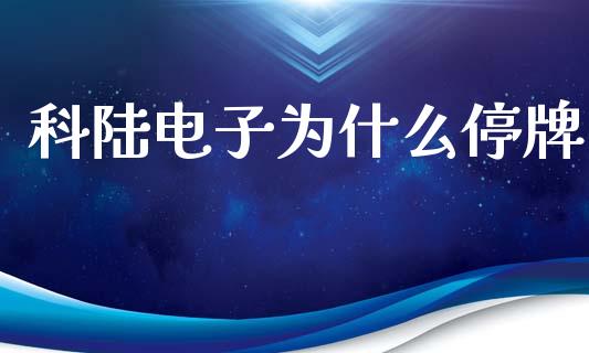 科陆电子为什么停牌_https://m.15771688.com_期货开户_第1张