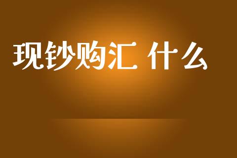 现钞购汇 什么_https://m.15771688.com_道指实时行情_第1张