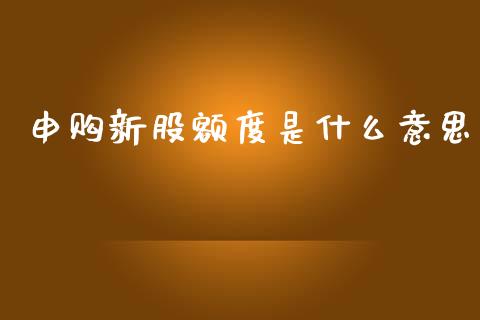 申购新股额度是什么意思_https://m.15771688.com_期货手续费_第1张