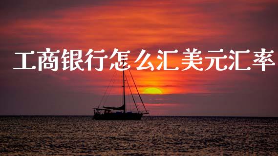 工商银行怎么汇美元汇率_https://m.15771688.com_期货手续费_第1张