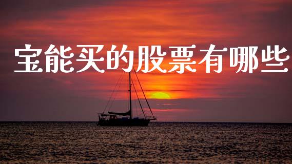 宝能买的股票有哪些_https://m.15771688.com_期货开户_第1张