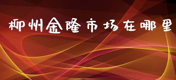 柳州金隆市场在哪里_https://m.15771688.com_期货手续费_第1张