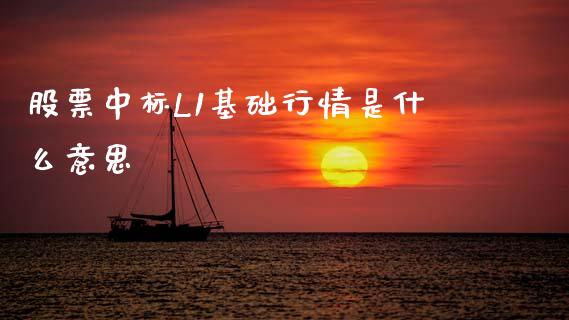 股票中标L1基础行情是什么意思_https://m.15771688.com_期货手续费_第1张