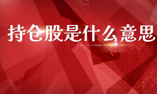 持仓股是什么意思_https://m.15771688.com_期货手续费_第1张