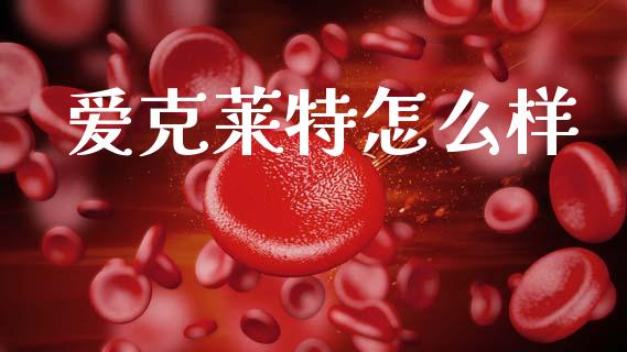 爱克莱特怎么样_https://m.15771688.com_美国道指_第1张