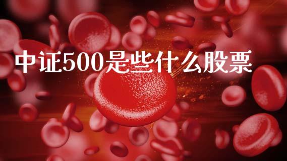 中证500是些什么股票_https://m.15771688.com_期货开户_第1张