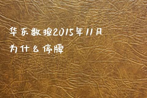华东数控2015年11月为什么停牌_https://m.15771688.com_美国道指_第1张