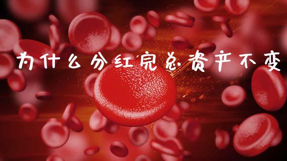 为什么分红完总资产不变_https://m.15771688.com_道指实时行情_第1张