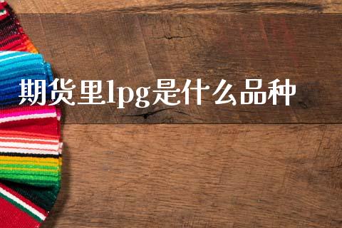 期货里lpg是什么品种_https://m.15771688.com_期货手续费_第1张