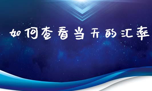 如何查看当天的汇率_https://m.15771688.com_道指实时行情_第1张