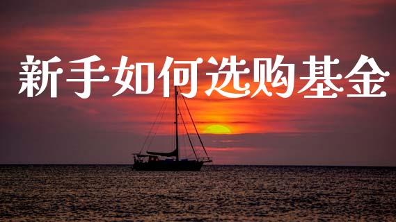 新手如何选购基金_https://m.15771688.com_期货开户_第1张