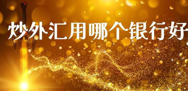 炒外汇用哪个银行好_https://m.15771688.com_期货开户_第1张