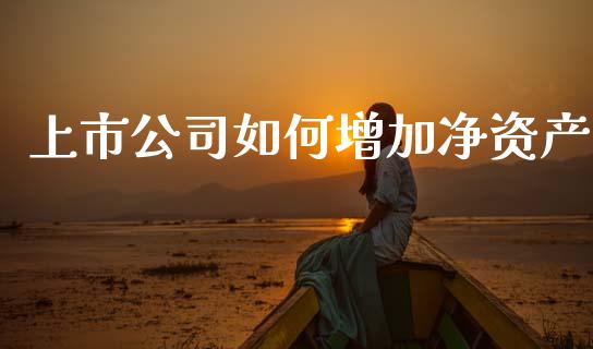 上市公司如何增加净资产_https://m.15771688.com_期货开户_第1张