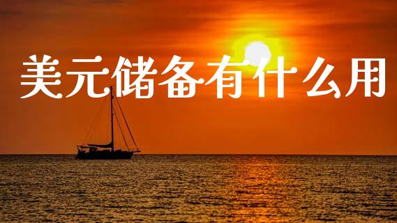 美元储备有什么用_https://m.15771688.com_期货手续费_第1张