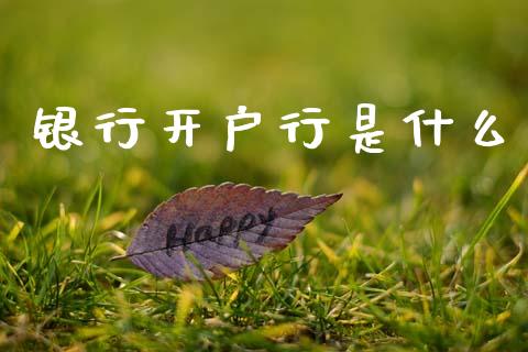 银行开户行是什么_https://m.15771688.com_期货开户_第1张