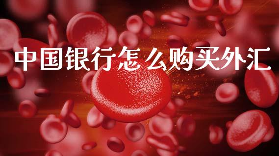 中国银行怎么购买外汇_https://m.15771688.com_期货开户_第1张