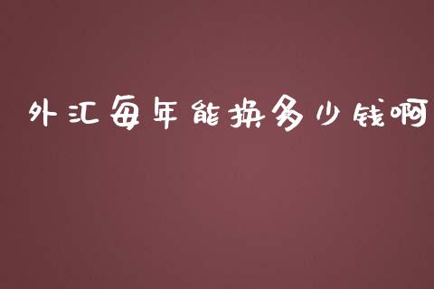外汇每年能换多少钱啊_https://m.15771688.com_道指实时行情_第1张