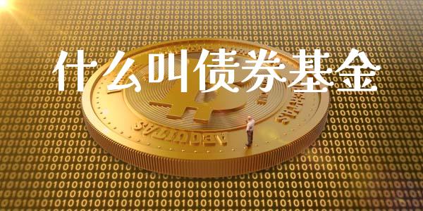 什么叫债券基金_https://m.15771688.com_期货手续费_第1张
