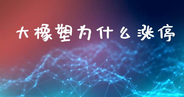 大橡塑为什么涨停_https://m.15771688.com_期货手续费_第1张