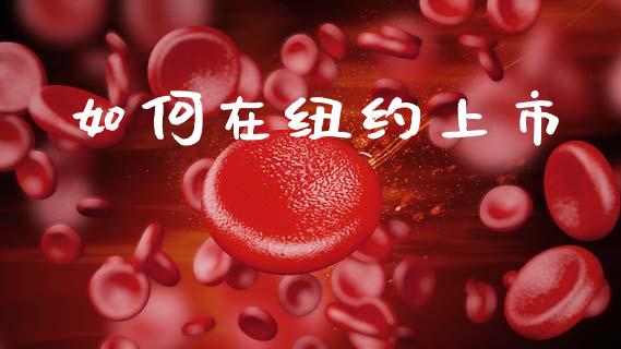 如何在纽约上市_https://m.15771688.com_期货开户_第1张