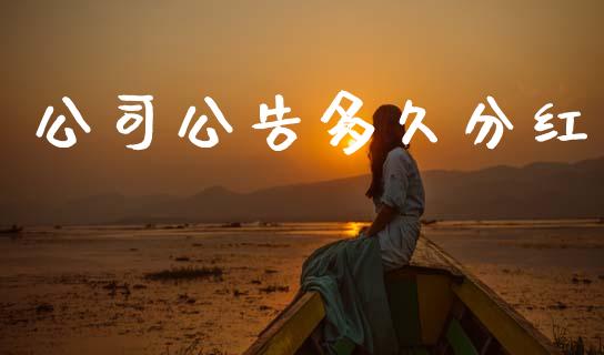 公司公告多久分红_https://m.15771688.com_美国道指_第1张
