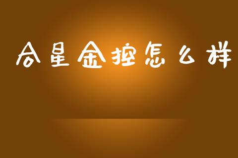 合星金控怎么样_https://m.15771688.com_期货手续费_第1张