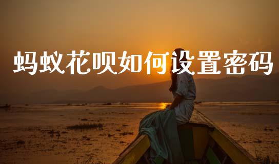 蚂蚁花呗如何设置密码_https://m.15771688.com_道指实时行情_第1张