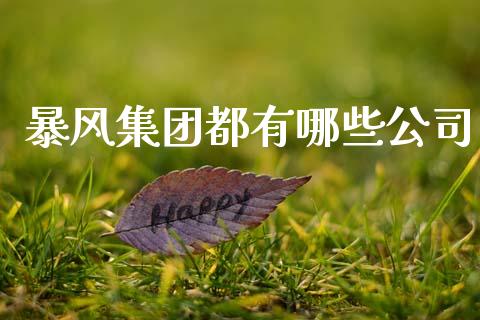 暴风集团都有哪些公司_https://m.15771688.com_道指实时行情_第1张