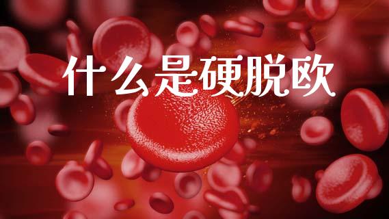 什么是硬脱欧_https://m.15771688.com_道指实时行情_第1张