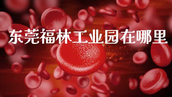 东莞福林工业园在哪里_https://m.15771688.com_期货开户_第1张