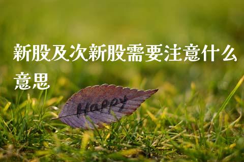 新股及次新股需要注意什么意思_https://m.15771688.com_道指实时行情_第1张