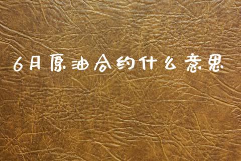 6月原油合约什么意思_https://m.15771688.com_期货开户_第1张