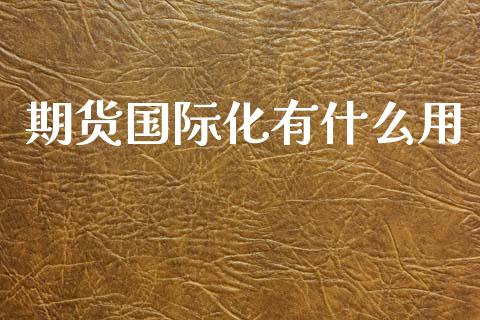 期货国际化有什么用_https://m.15771688.com_期货手续费_第1张