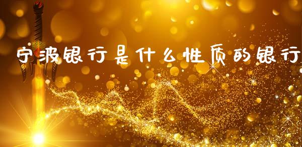 宁波银行是什么性质的银行_https://m.15771688.com_道指实时行情_第1张