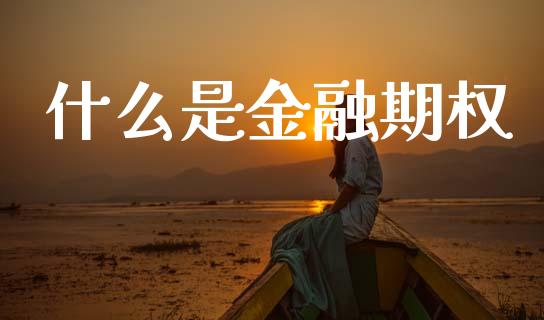 什么是金融期权_https://m.15771688.com_期货手续费_第1张