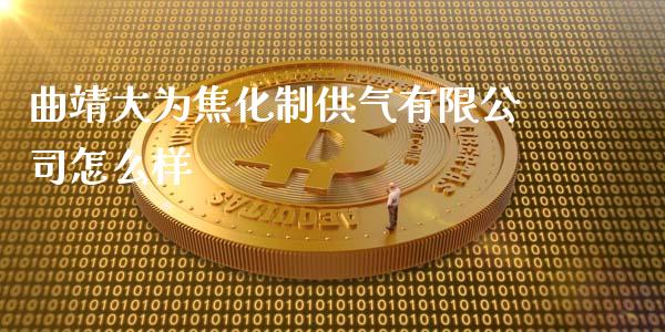 曲靖大为焦化制供气有限公司怎么样_https://m.15771688.com_期货手续费_第1张