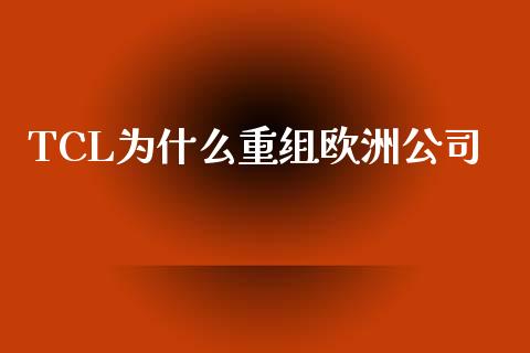 TCL为什么重组欧洲公司_https://m.15771688.com_道指实时行情_第1张