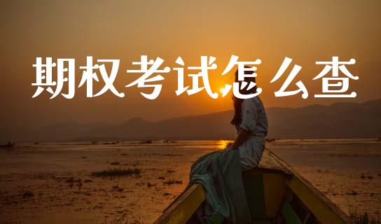 期权考试怎么查_https://m.15771688.com_道指实时行情_第1张