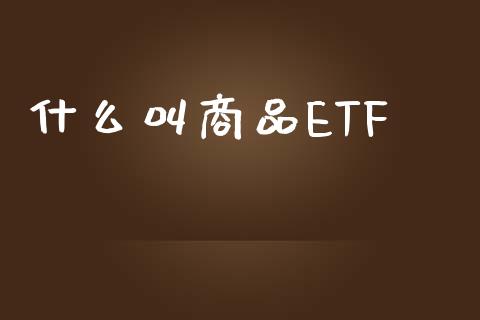 什么叫商品ETF_美国道指_第1张_期货开户_期货手续费_道指实时行情_美国道指 什么叫商品ETF_https://m.15771688.com_美国道指_第1张