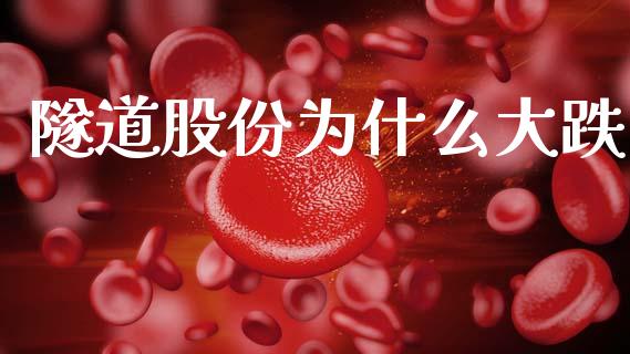 隧道股份为什么大跌_https://m.15771688.com_期货手续费_第1张