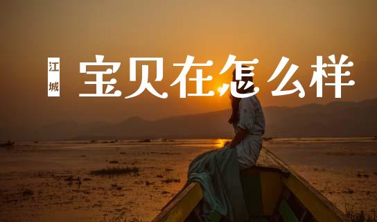 鑫宝贝在怎么样_https://m.15771688.com_道指实时行情_第1张