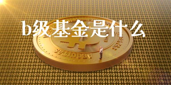 b级基金是什么_https://m.15771688.com_期货手续费_第1张