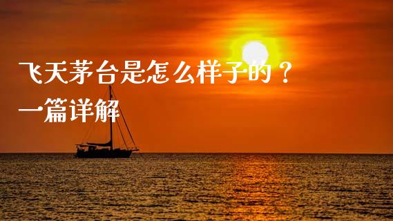 飞天茅台是怎么样子的？ 一篇详解_https://m.15771688.com_美国道指_第1张