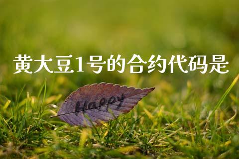 黄大豆1号的合约代码是_https://m.15771688.com_期货开户_第1张