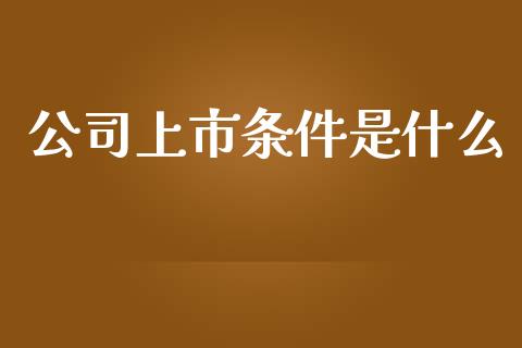公司上市条件是什么_https://m.15771688.com_美国道指_第1张
