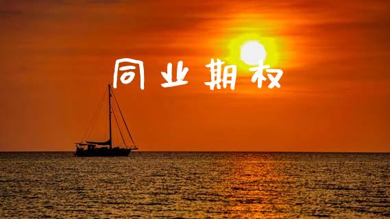 同业期权_https://m.15771688.com_道指实时行情_第1张