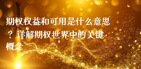 期权权益和可用是什么意思？ 详解期权世界中的关键概念_https://m.15771688.com_期货开户_第1张